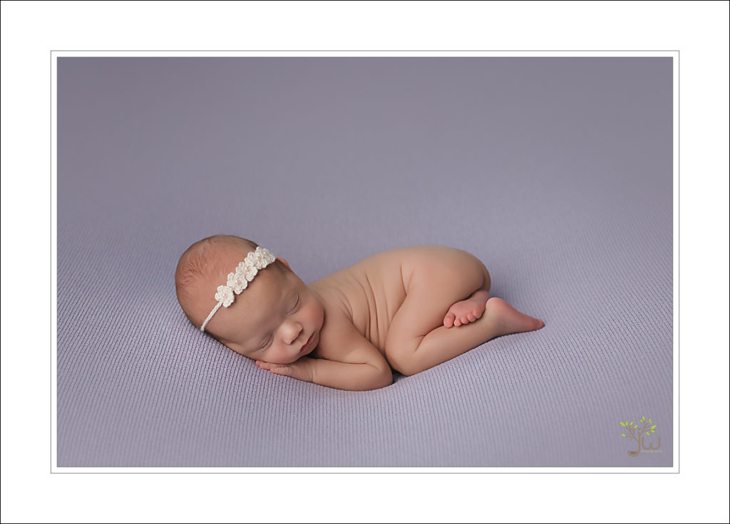 Beast Seattle newborn photographer